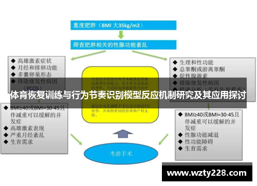 体育恢复训练与行为节奏识别模型反应机制研究及其应用探讨